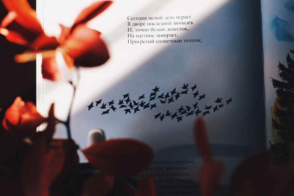 детская книжка листопад