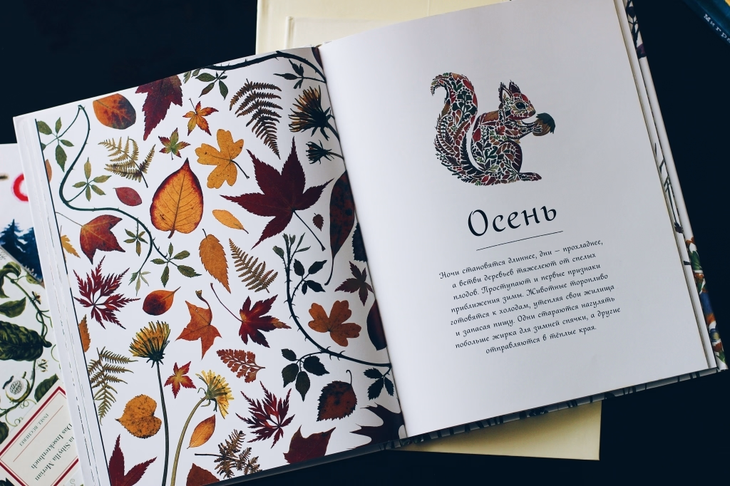 детская книжка большая книга природы