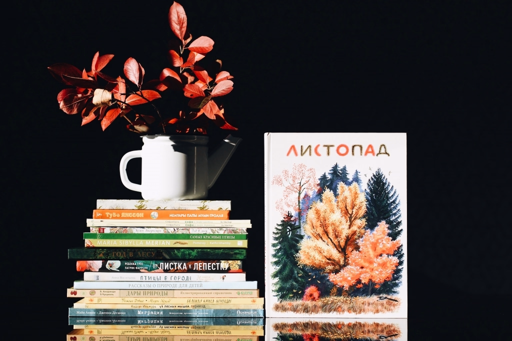 детская книжка Ёжик в тумане