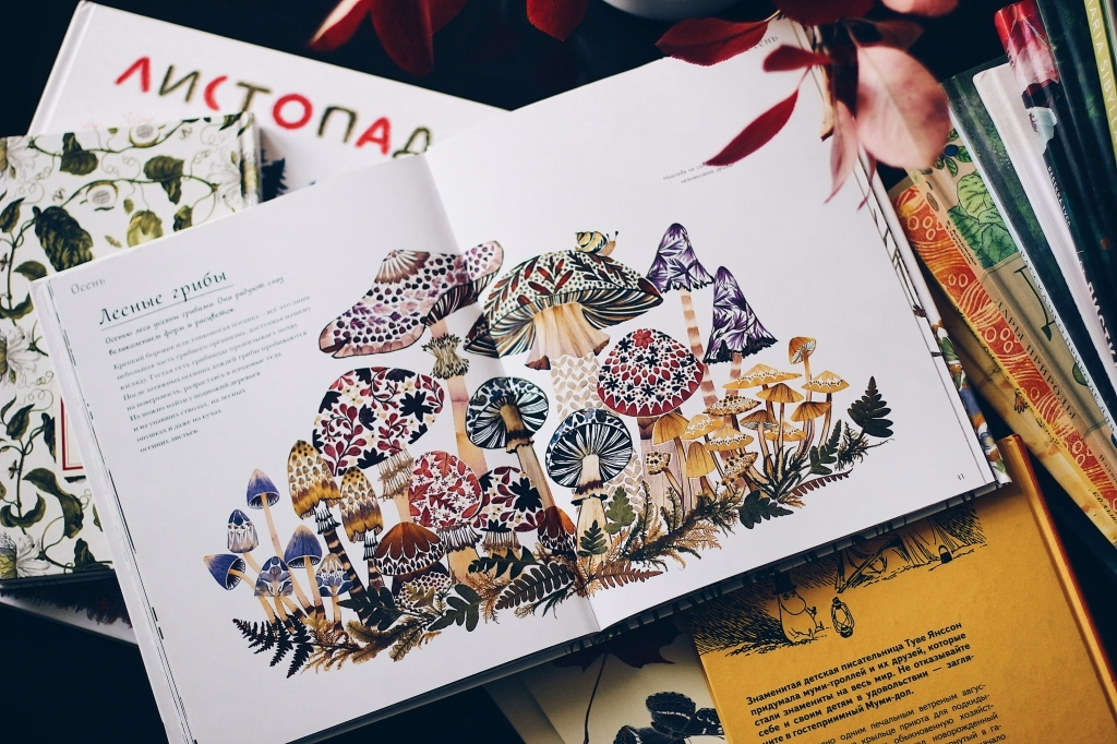 детская книжка большая книга природы