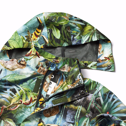 Куртка и джоггеры Whalley Jungle Life от бренда MOLO