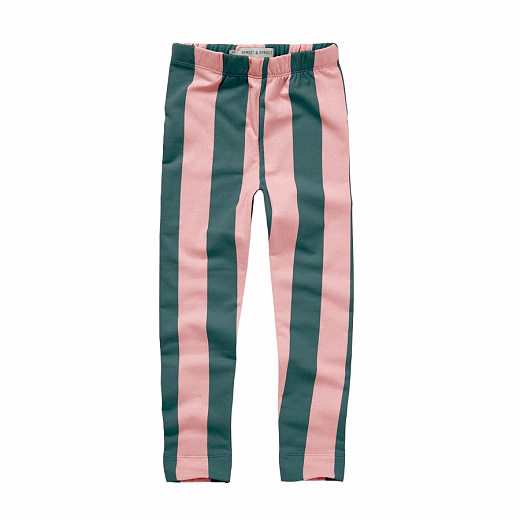 Легинсы Block Stripe от бренда Sproet & Sprout