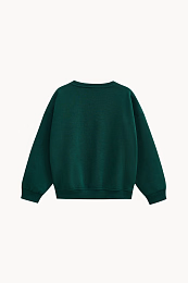 Свитшот Roarrr Champs от бренда CHOOCHOO