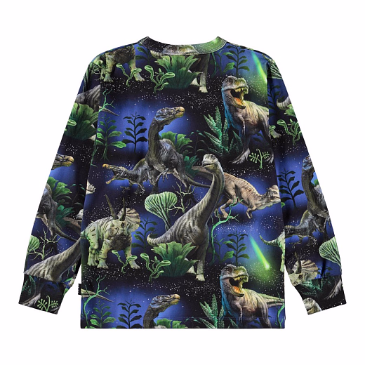Лонгслив Rill Dinorama от бренда MOLO
