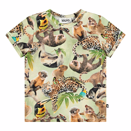 Футболка Easy Jungle Cubs от бренда MOLO Разноцветный