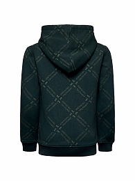 Толстовка Green Logo от бренда Trussardi