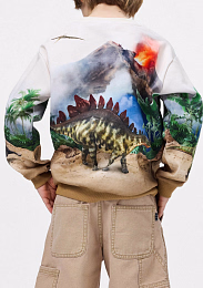 Свитшот Miksi Hot Spring Dinos от бренда MOLO