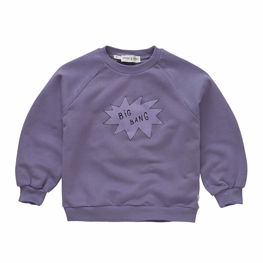 Свитшот Big Bang от бренда Sproet & Sprout