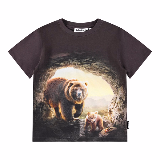 Футболка Riley Cave Bears от бренда MOLO Коричневый