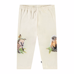 Легинсы Simway Friendly Jungle от бренда MOLO