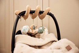 Развивающая спираль Машинка от бренда Jollein