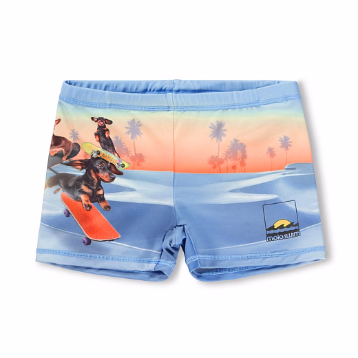 Плавки Norton Placed Skate Fun от бренда MOLO