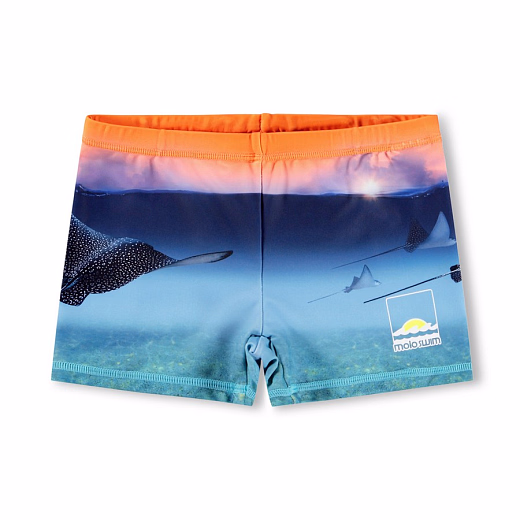 Плавки Norton Placed Into The Sunset от бренда MOLO