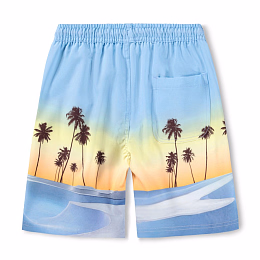 Шорты Nilson Sunrise Skate от бренда MOLO
