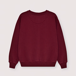 Свитшот TNS Logo Plum Fantasy от бренда The New Society