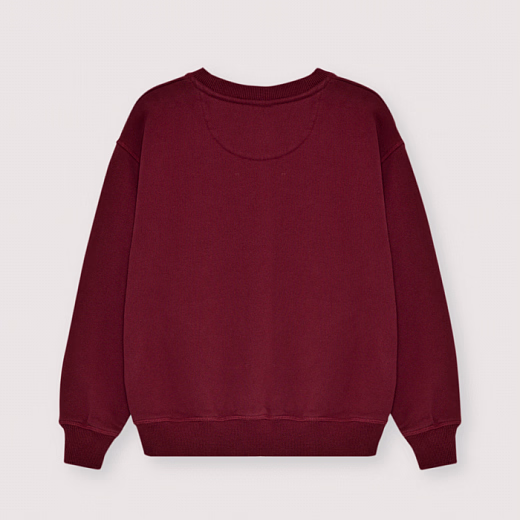 Свитшот TNS Logo Plum Fantasy от бренда The New Society