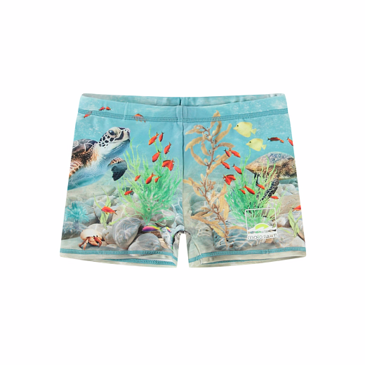 Плавки Norton Placed Happy Ocean от бренда MOLO