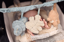 Банер для коляски и кроватки Динозавры от бренда Jollein