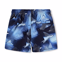 Шорты Niko Into The Blue от бренда MOLO