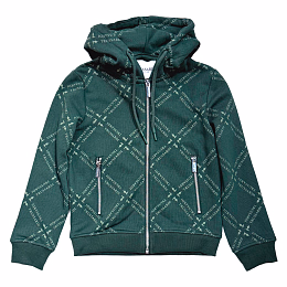 Толстовка Green Logo от бренда Trussardi