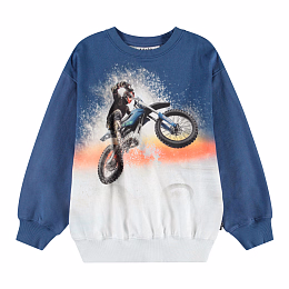 Свитшот Monti Wheelie Blue от бренда MOLO