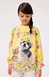 Свитшот Maxi Sweet Maggie от бренда MOLO