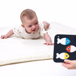 Контрастные карточки для новорожденных от бренда Banana Panda