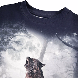Свитшот Miksi Moonlit Wolves от бренда MOLO