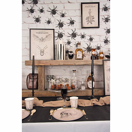 Два постера Кабинет анатомии с золотым тиснением от бренда Tim & Puce Factory