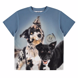 Футболка Riley Doggy Duo от бренда MOLO Синий
