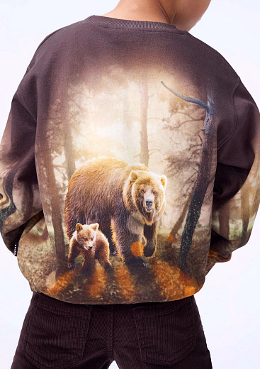 Свитшот Mattis Honey Bears от бренда MOLO