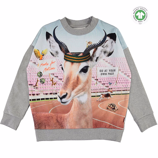 Свитшот с антилопой от бренда MOLO