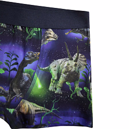 Трусы 2шт Justin Dino Galaxy от бренда MOLO