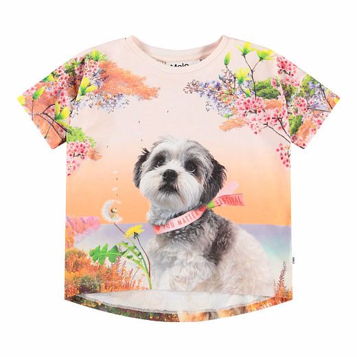 Футболка Raeesa Festivalgoers от бренда MOLO Разноцветный