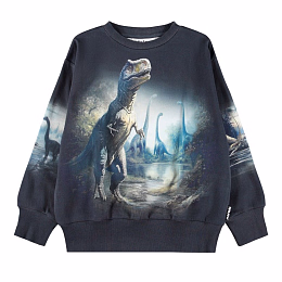 Свитшот Mattis Twilight Dinos от бренда MOLO