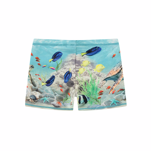 Плавки Norton Placed Happy Ocean от бренда MOLO