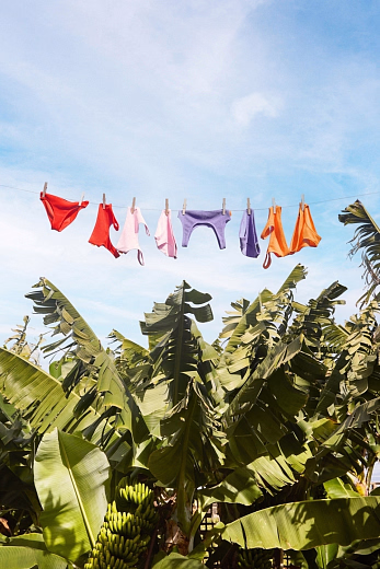 Бикини Nola Solid Pink Glace от бренда MOLO