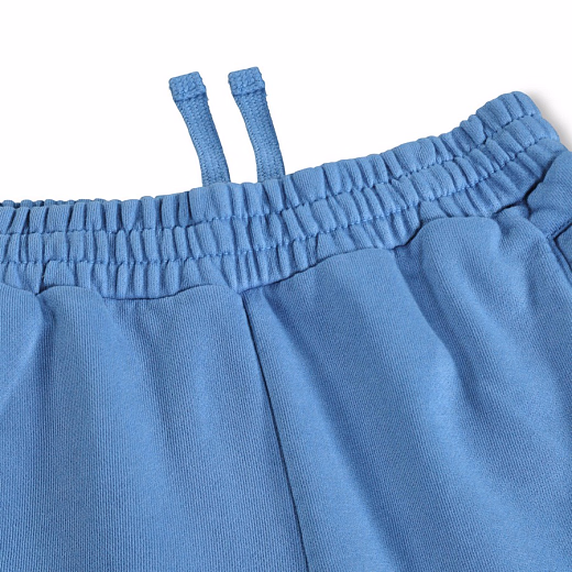 Шорты Ador Swell Blue от бренда MOLO