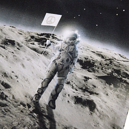 Футболка Riley Moon Traveller от бренда MOLO Черно-белый