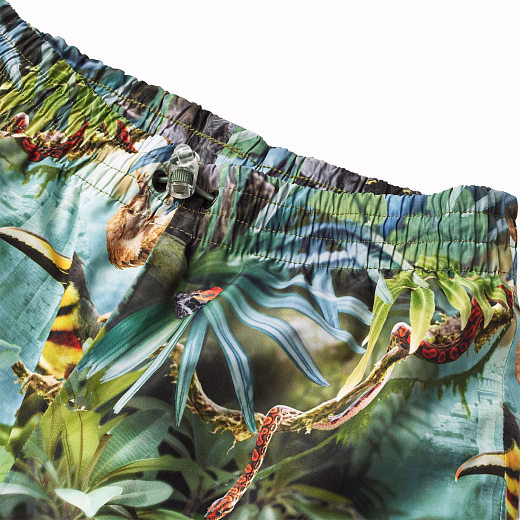 Куртка и джоггеры Whalley Jungle Life от бренда MOLO