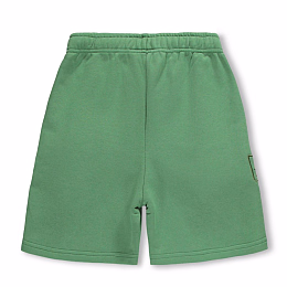 Шорты Amil Groovy Green от бренда MOLO