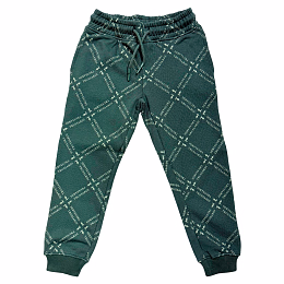 Джоггеры Green Logo от бренда Trussardi