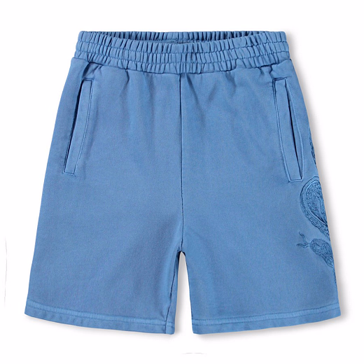 Шорты Ador Swell Blue от бренда MOLO