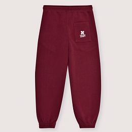 Джоггеры TNS Logo Plum Fantasy от бренда The New Society