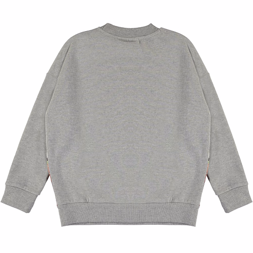 Свитшот с антилопой от бренда MOLO