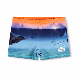 Плавки Norton Placed Into The Sunset от бренда MOLO