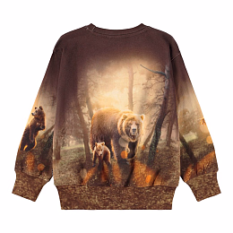 Свитшот Mattis Honey Bears от бренда MOLO