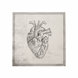 Салфетки Череп 16 шт от бренда Tim & Puce Factory