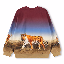 Свишот Miksi Bengal Tiger от бренда MOLO