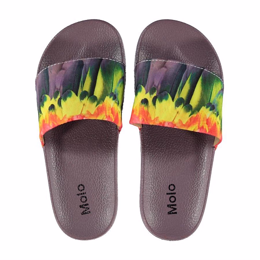 Сланцы Zhappy Amazon Parrots от бренда MOLO